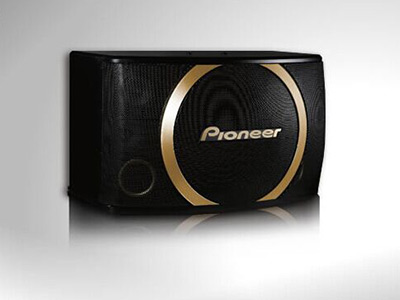 CS-Y120卡拉OK扬声器