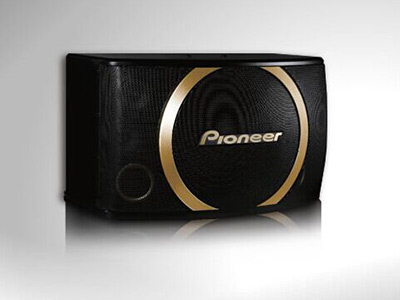 CS-Y100卡拉OK扬声器