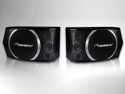 CS-X100卡拉OK扬声器