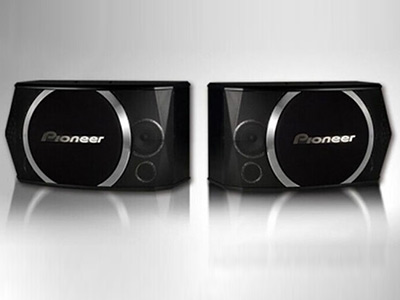 CS-X080卡拉OK扬声器